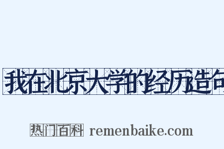 我在北京大学的经历造句是什么意思的图片
